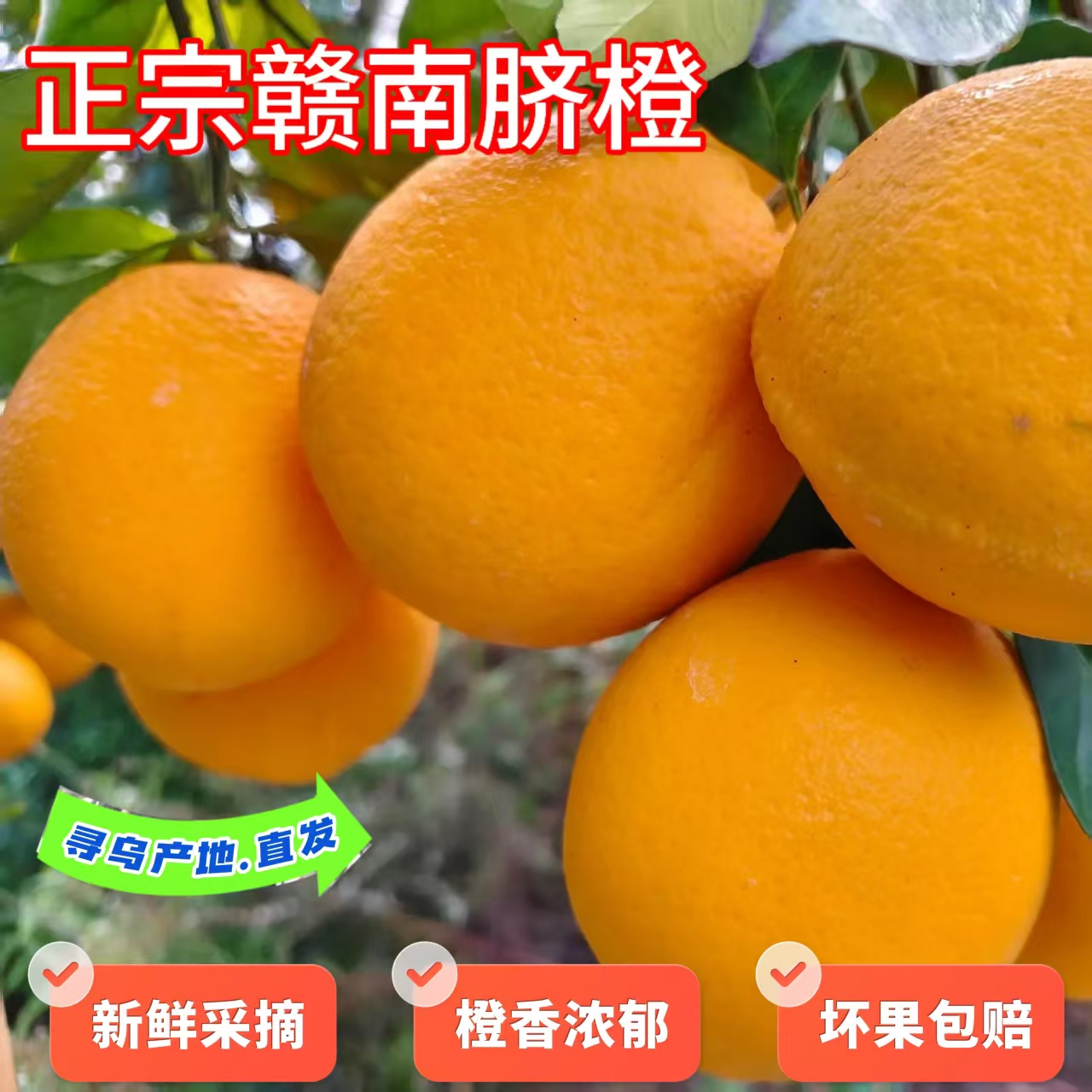 正宗江西赣南脐橙现摘新鲜应季水果寻乌核心产地直发香甜多汁橙子