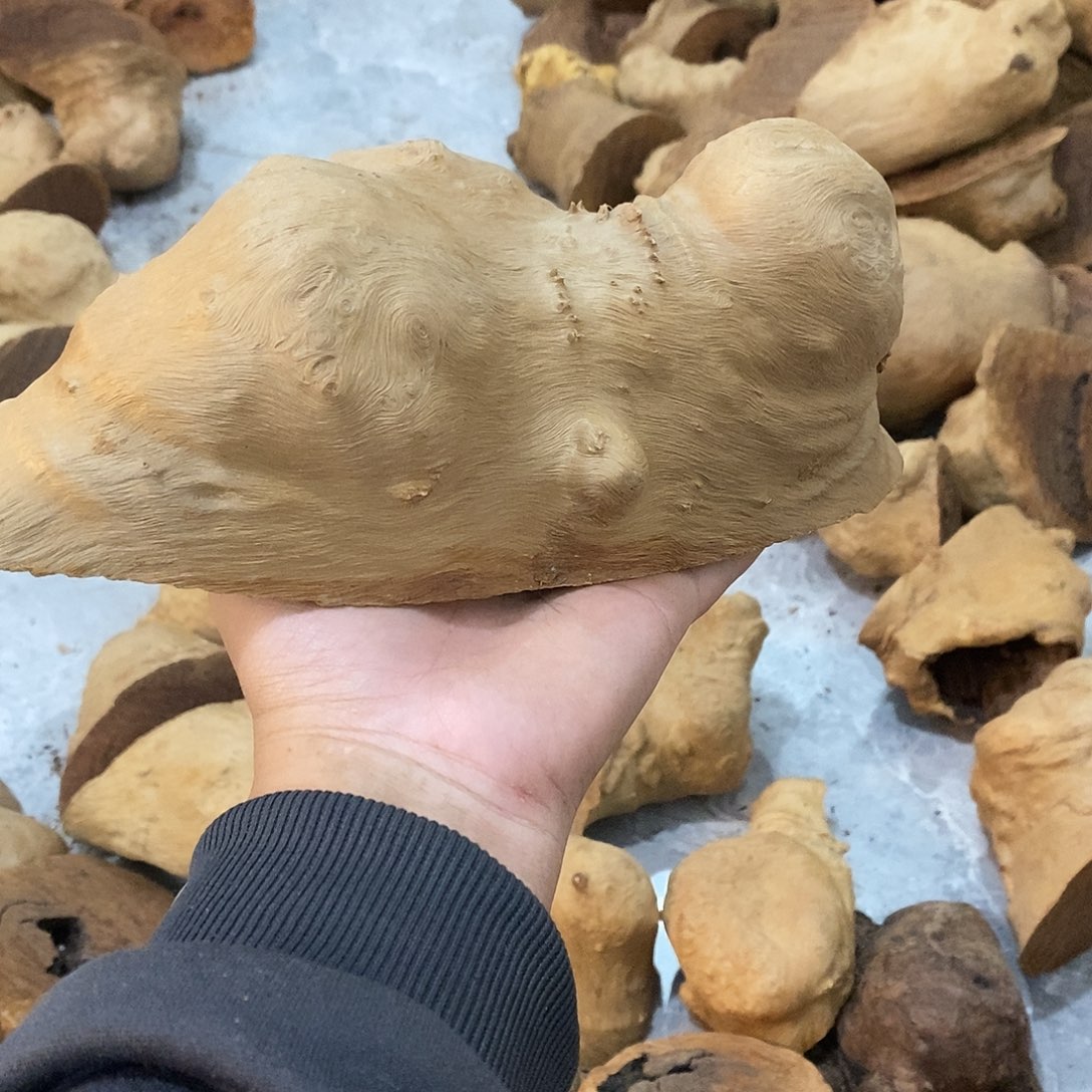 大***器荔枝木荔枝木带五个眼睛