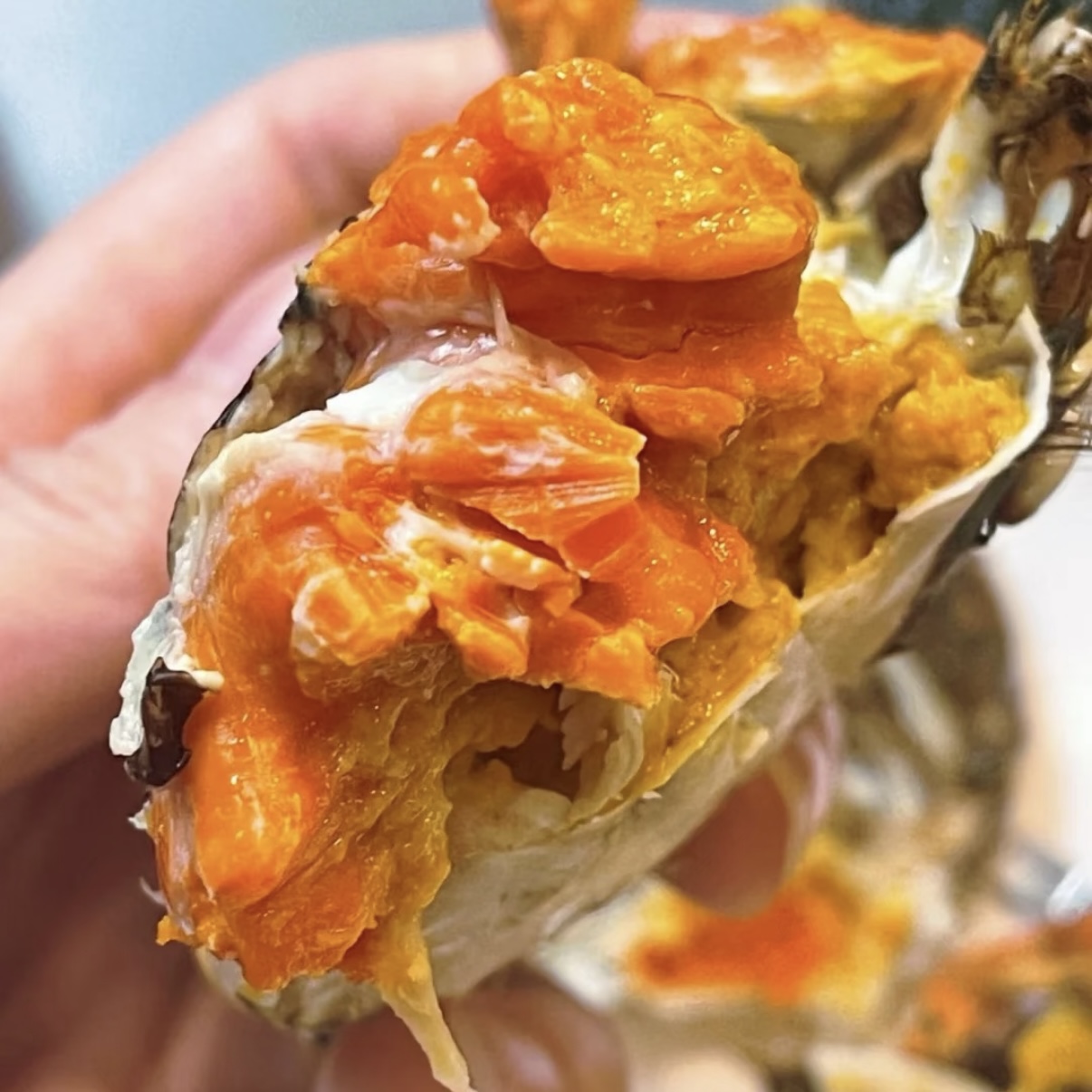 【活蟹全公嗨吃】全公蟹 4.5-2.5两 8/10只装 当天现捕鲜活发货顺丰空运冷链包邮到家