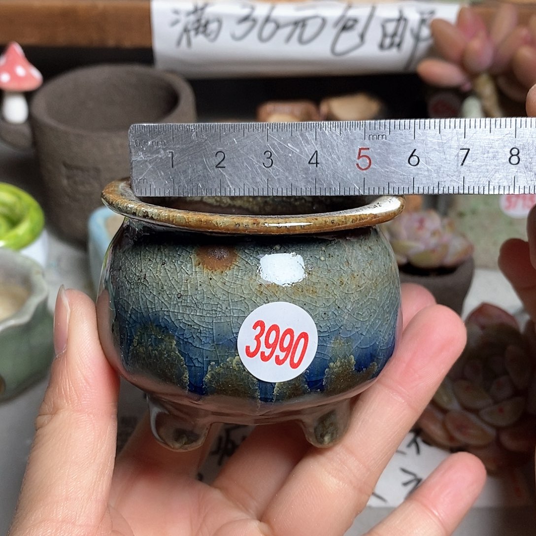 红陶拍5送一个小