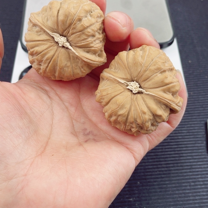 ꪟ***ᝰ把件文玩核桃46南瓜