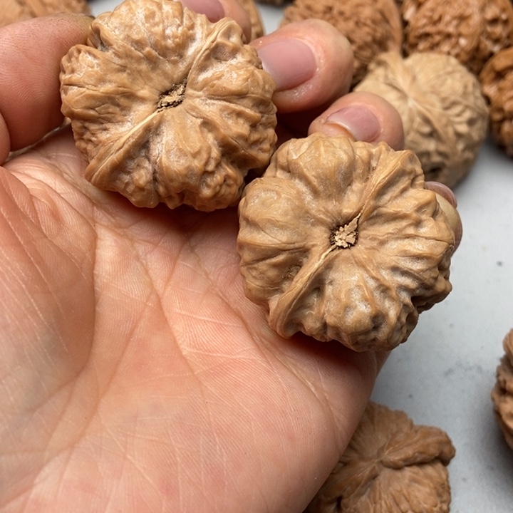 文玩核桃把件蓉***人蛤蟆