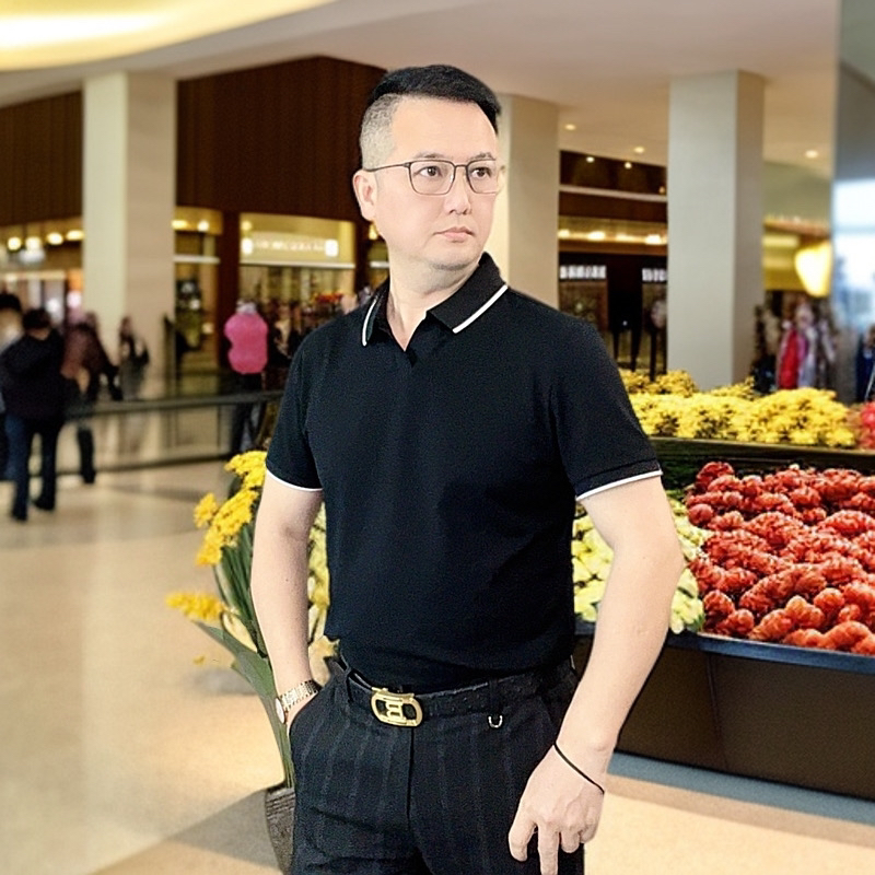 2025休闲弹力海鸥领男士春夏百搭翻领短袖T恤