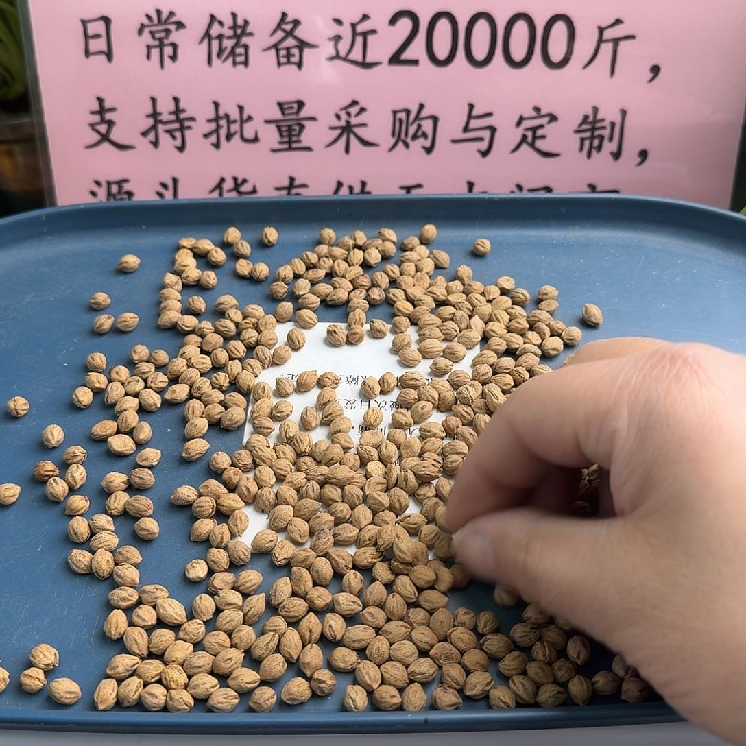 柏香籽/百香籽手串6.25+80克TG200