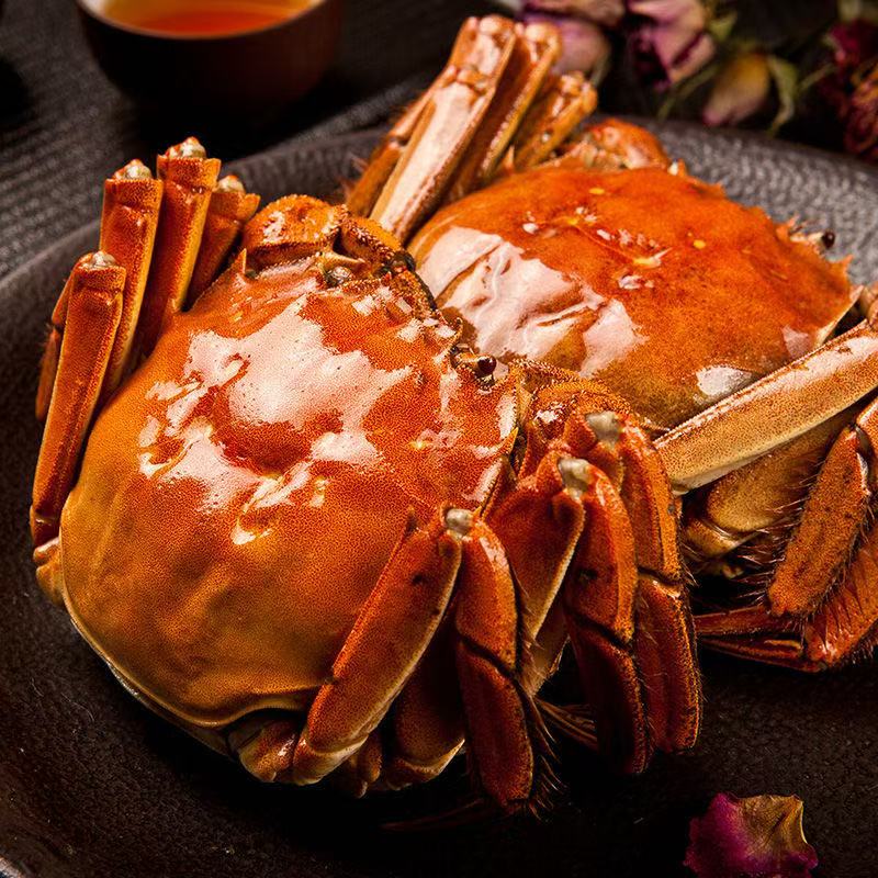 【活蟹】精品 螃蟹 /全母蟹/3.0-2.7两 顺丰京东拍8送2只共10只到手