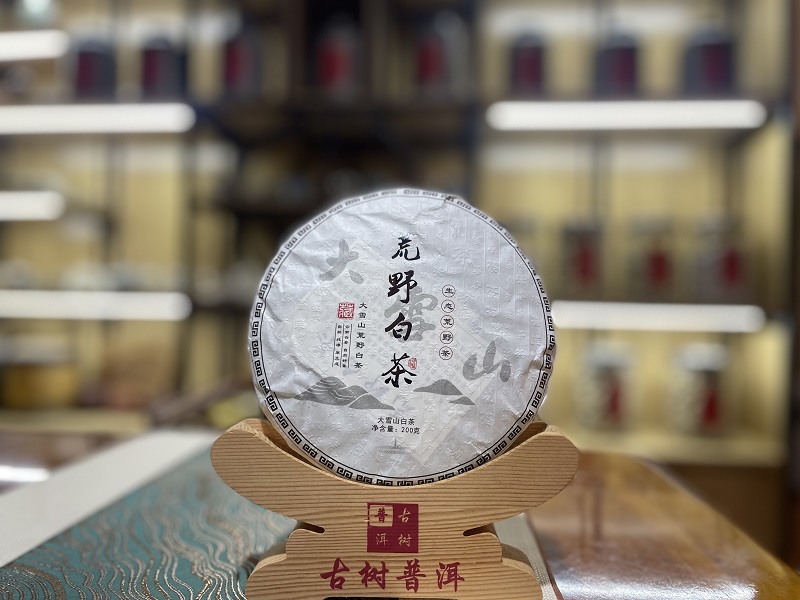 2025年荒野野生古树白茶200克饼茶