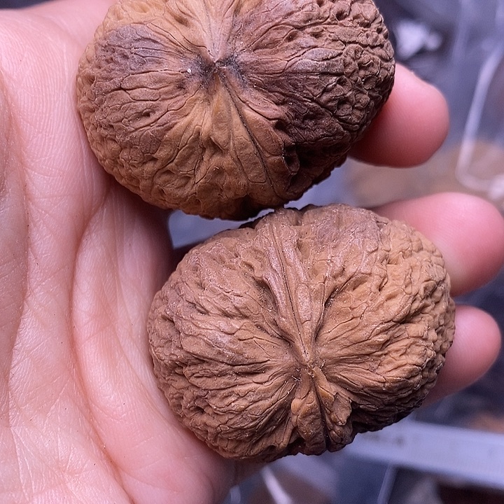 把件文玩核桃   209
