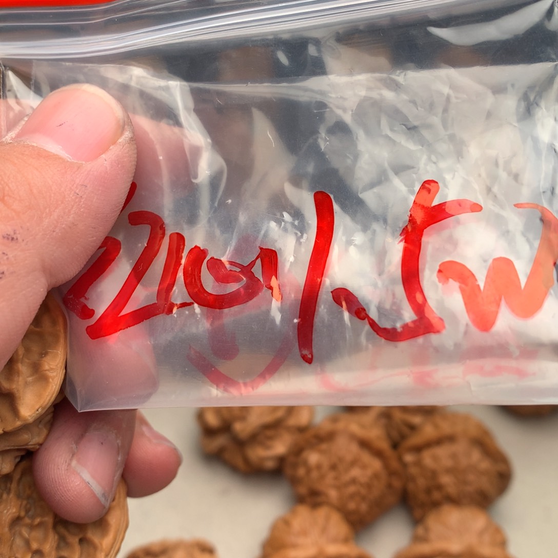 文玩核桃把件红心1w/1.5w……..