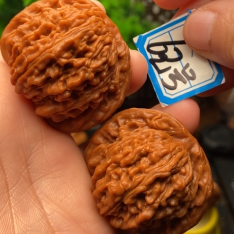 文玩核桃吊坠蓟县楼45.6