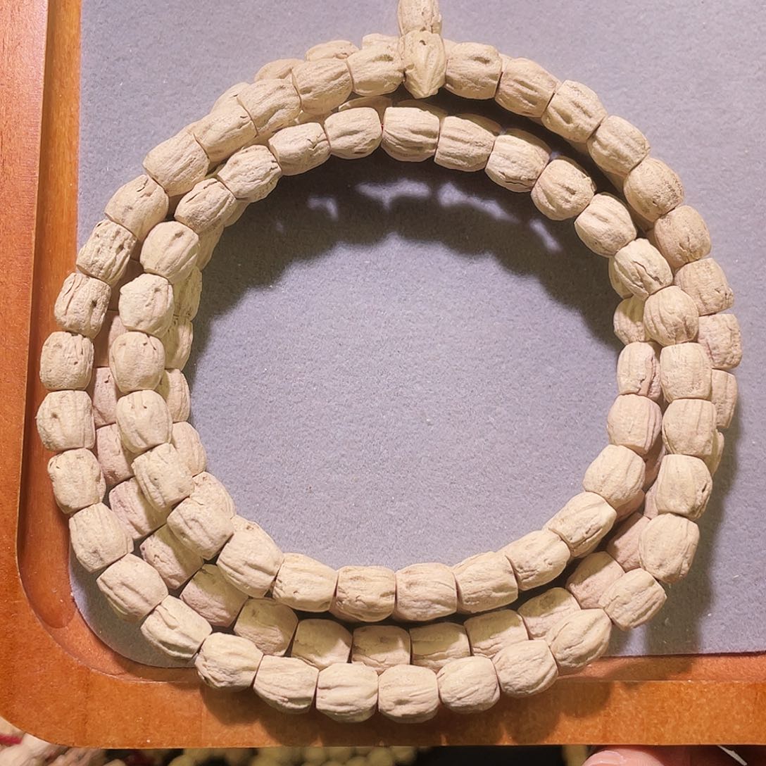 _*百香籽 大尺寸 高桩 7×8+mm左右