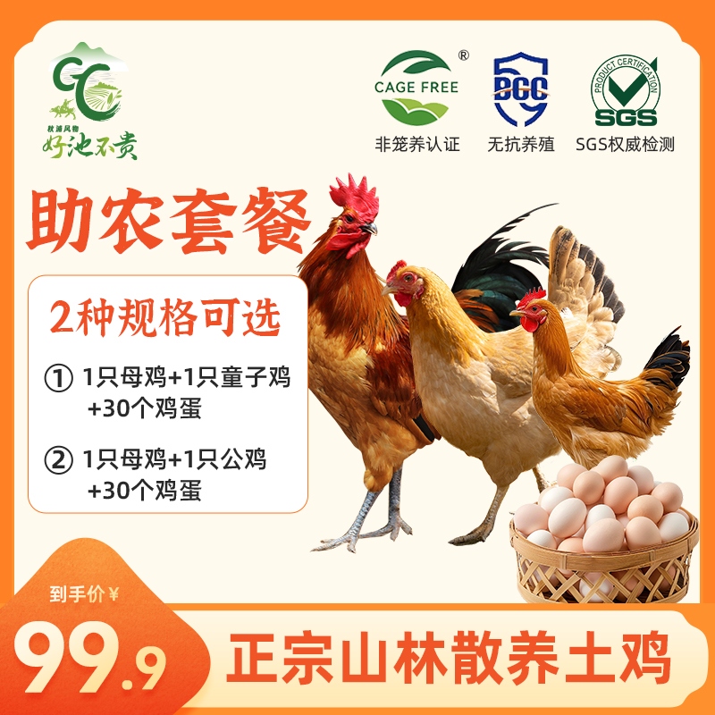 【助农套餐】皖南林间散养土鸡母鸡公鸡童子鸡肉质鲜嫩适合孕妇儿童