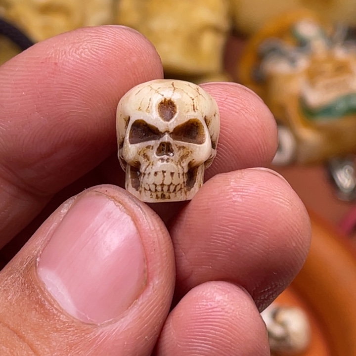 驼骨摆件人工养殖