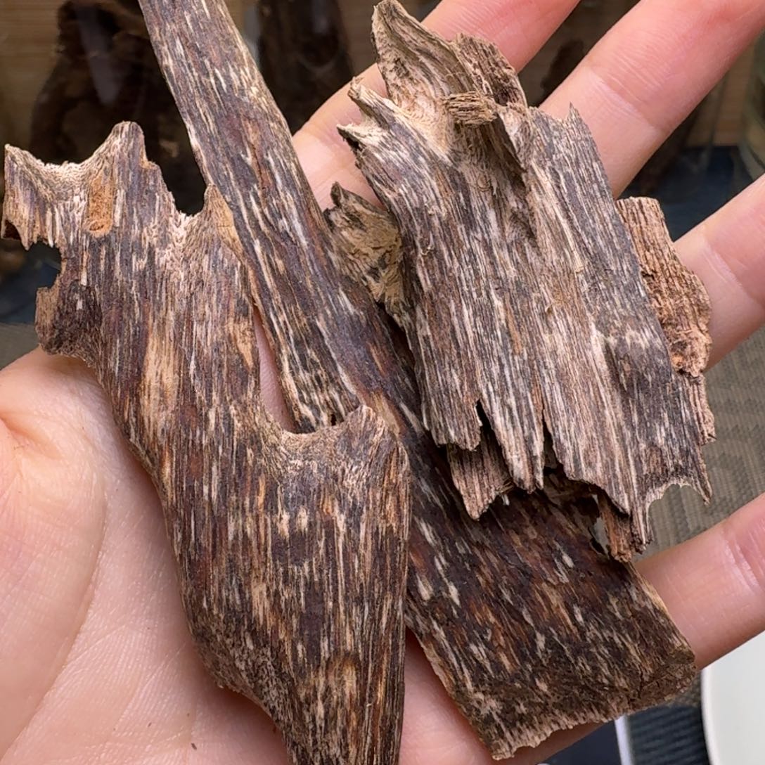 木海南莺歌岭红油虫漏10.6克福利