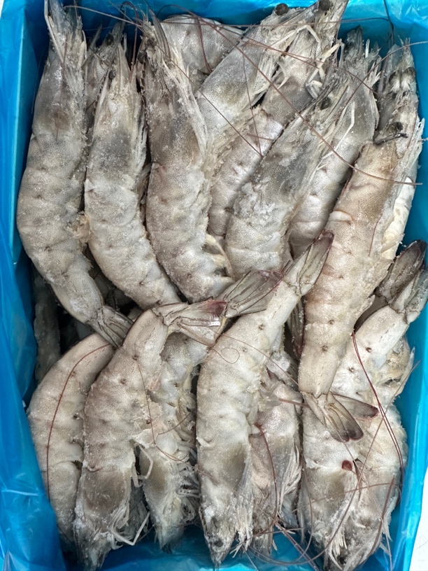 厄瓜多尔海水大虾40-50规格净重3斤