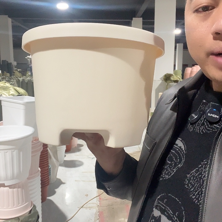 球根小号米3个无托盘
