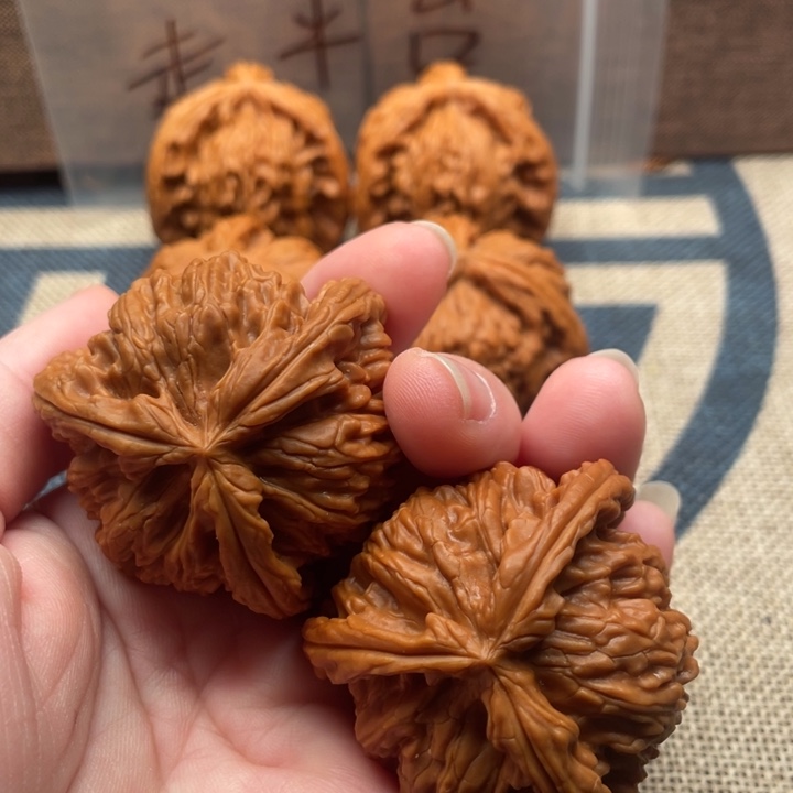 沧***队核桃白狮子43核桃