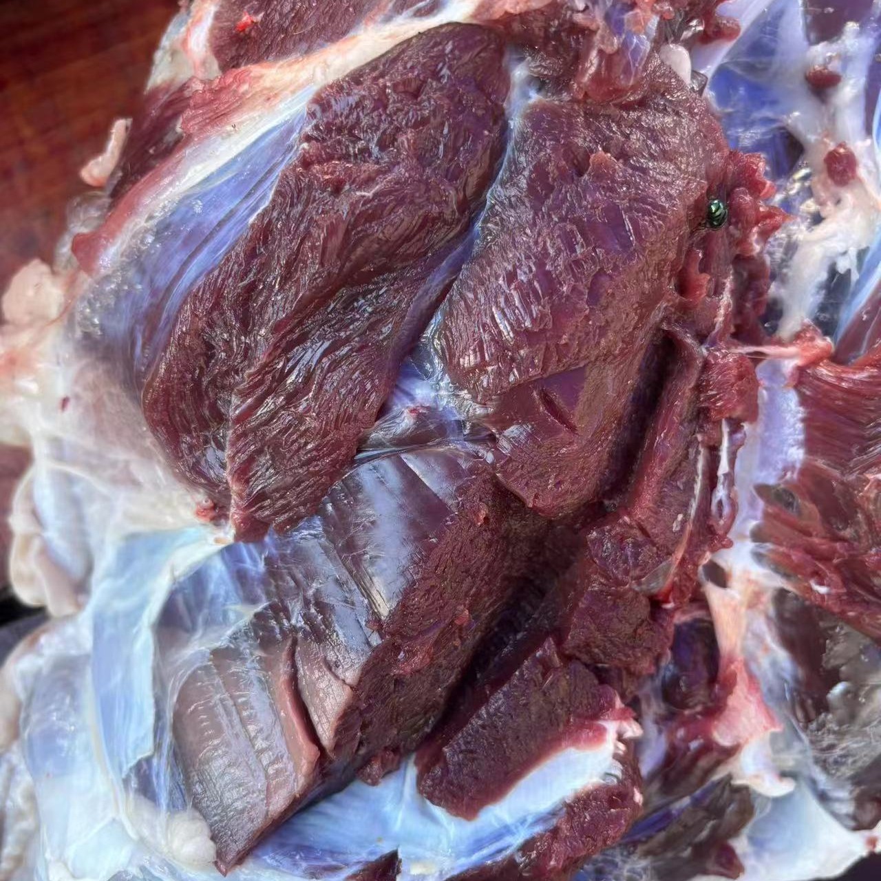 人工养殖纯种梅花鹿肉产地顺丰直发