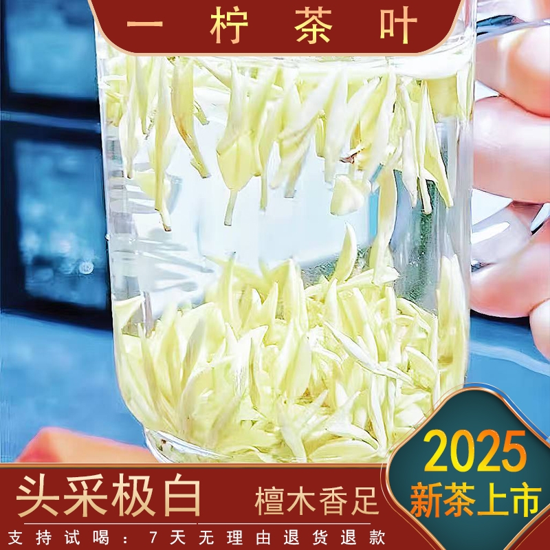 〖头春头采〗JI  半斤装 头采极白白茶