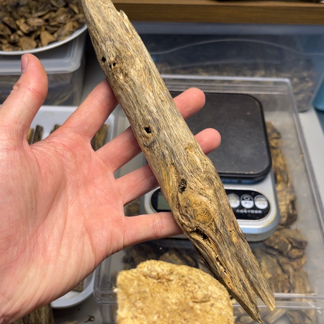 沉香沉香碎屑【红骨凹身】海南奇楠虫漏65克