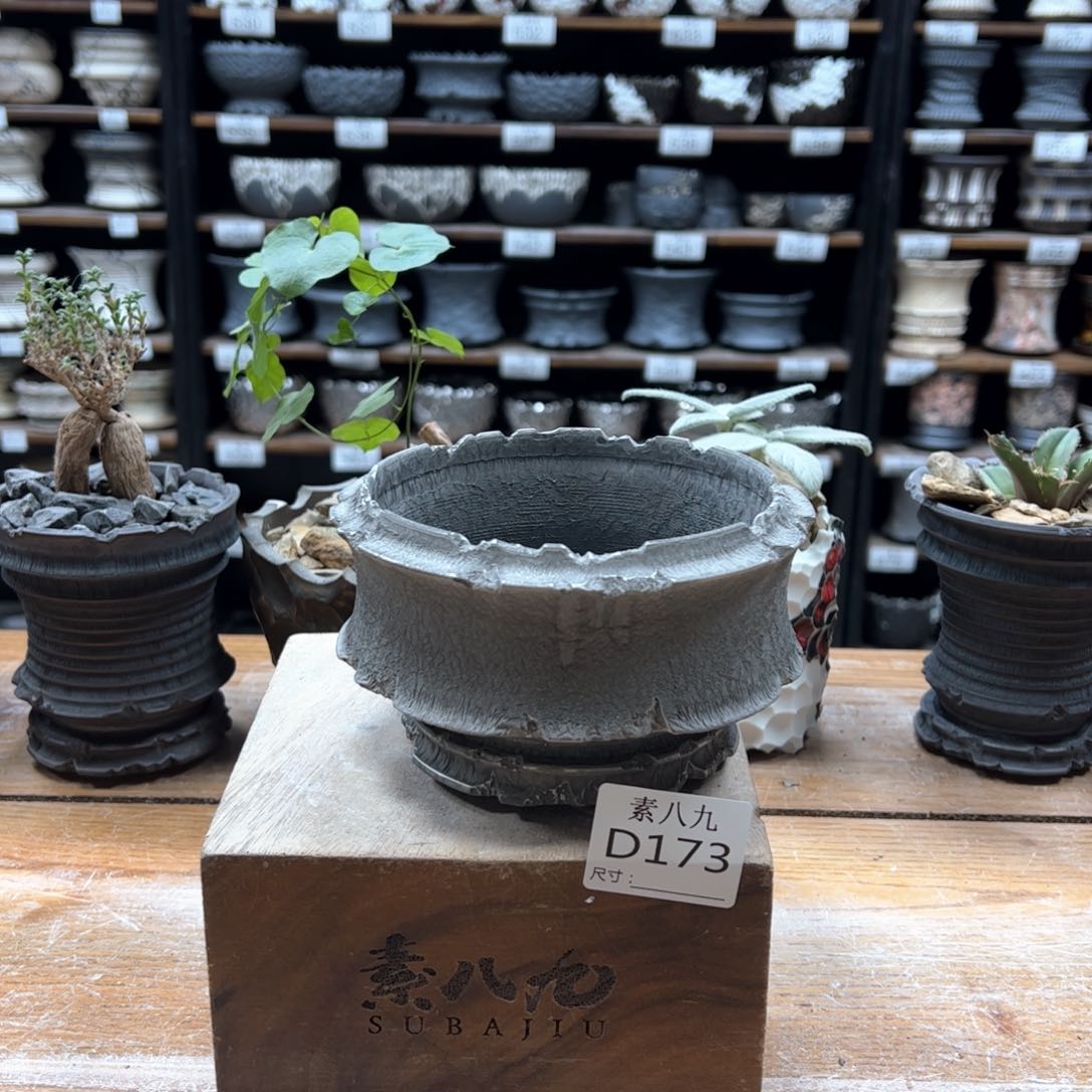 素八九陶瓷内口11.5高8.5