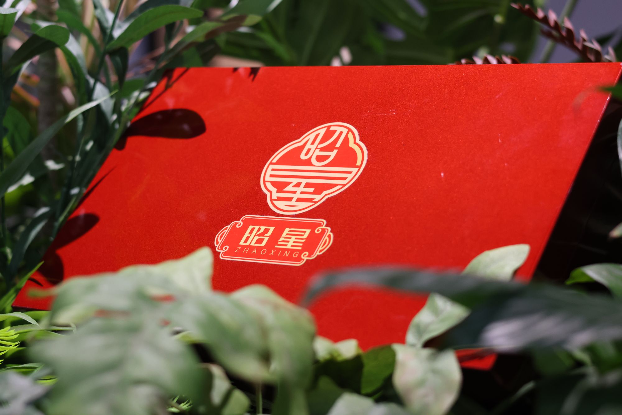 昭星珠宝定制礼盒（勿拍链接）