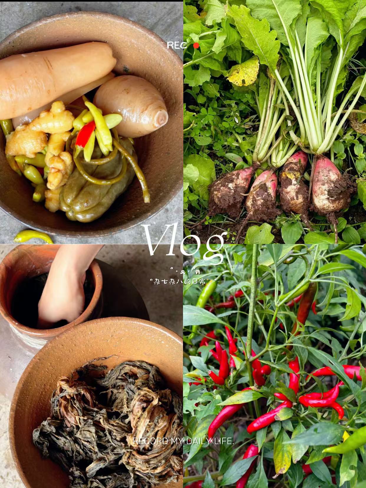 安徽手工咸菜农家包邮