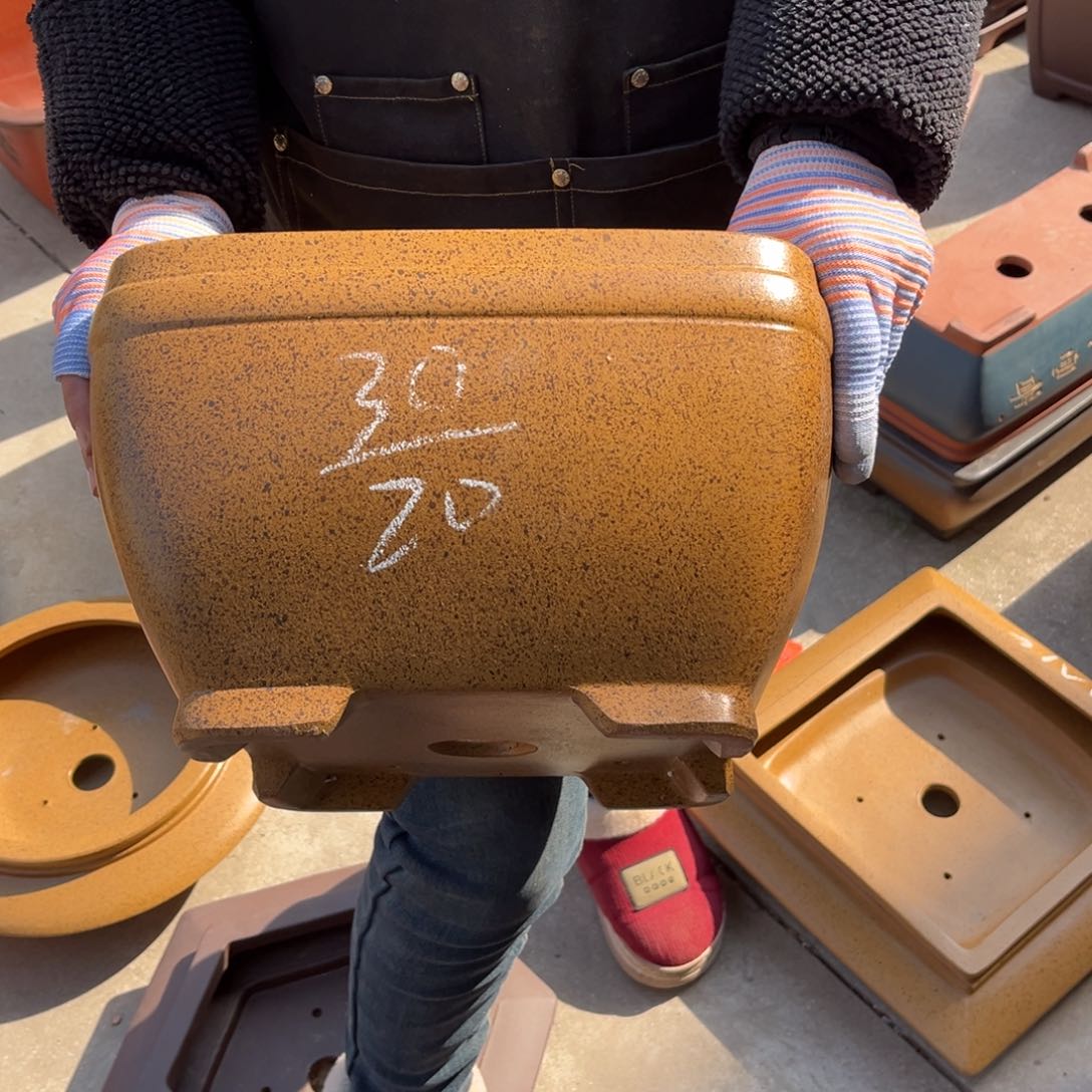 紫砂花盆盆景艺术