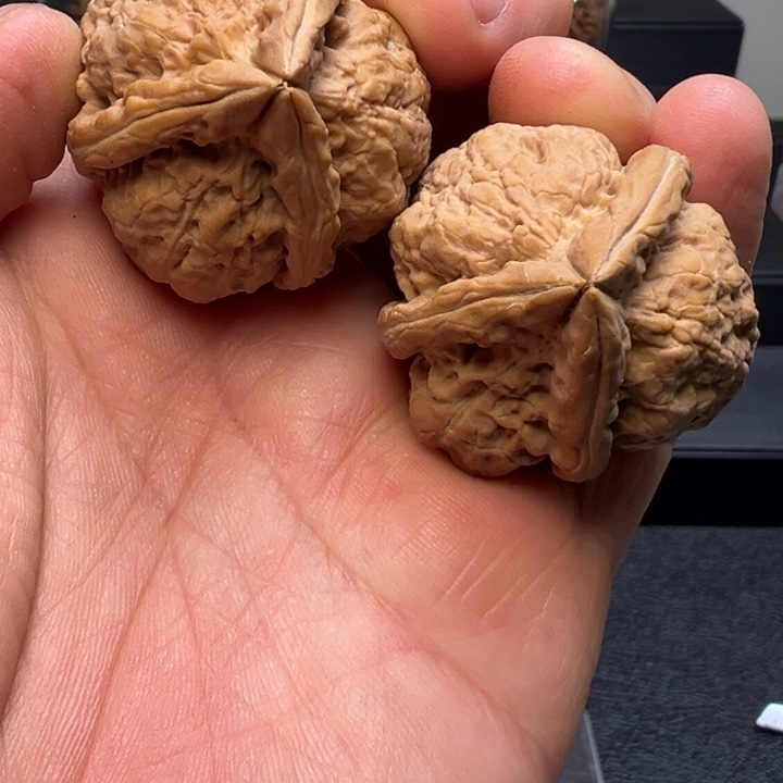 文玩核桃把件霸王枪肚36mm/高42mm