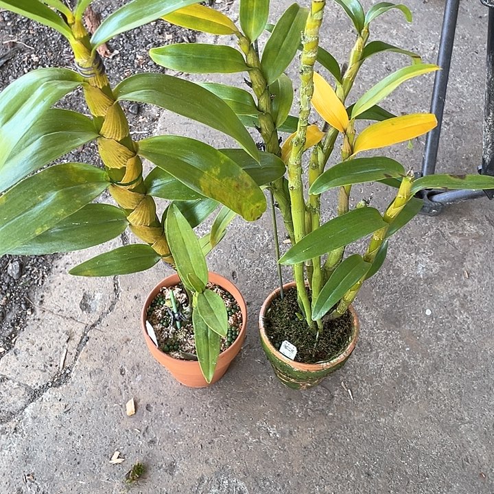 完全开放无需担心