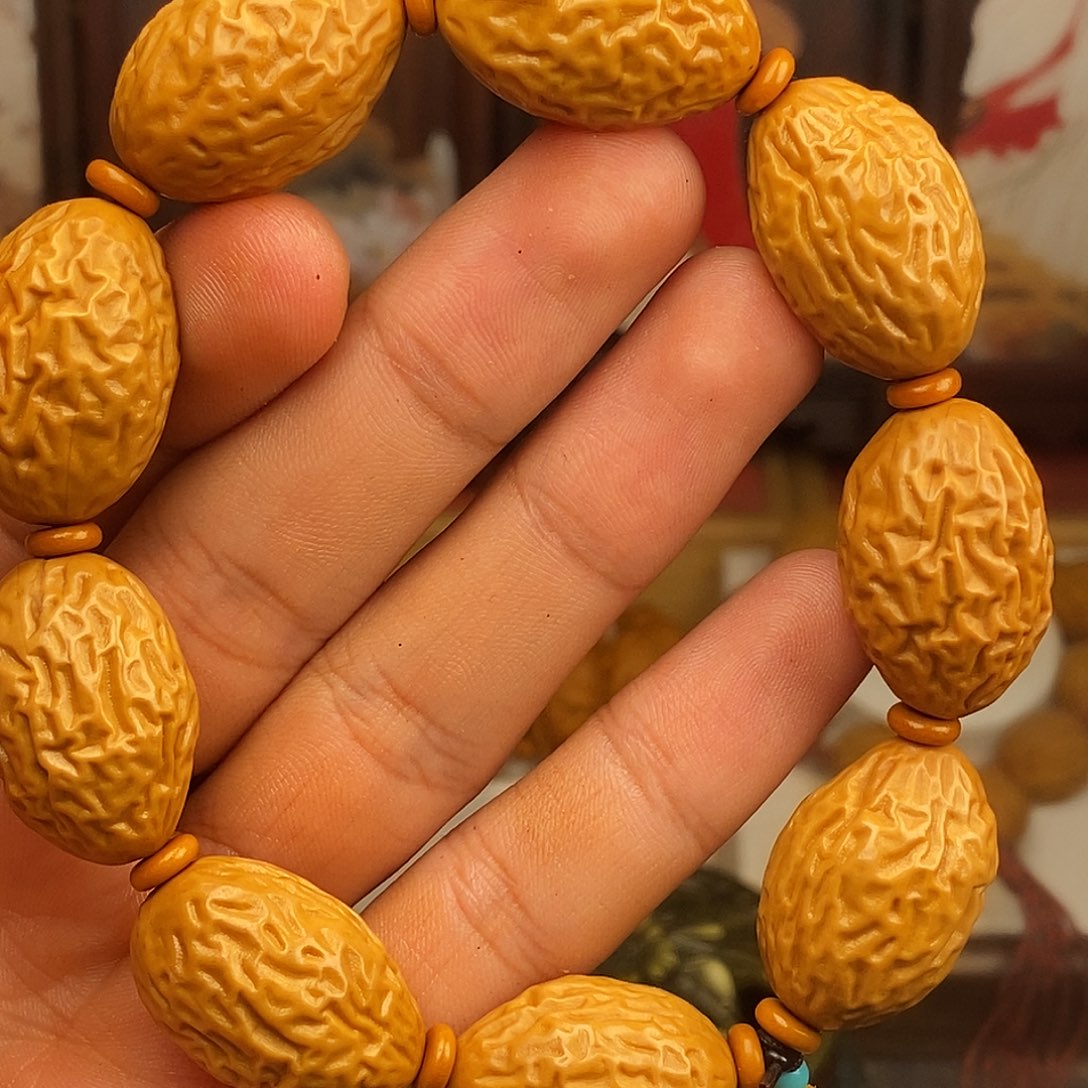 橄榄核手串/手链hhhhhjnjjjjjjjjhhhb