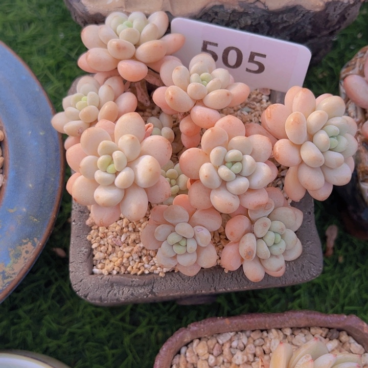 健健康康平平安安