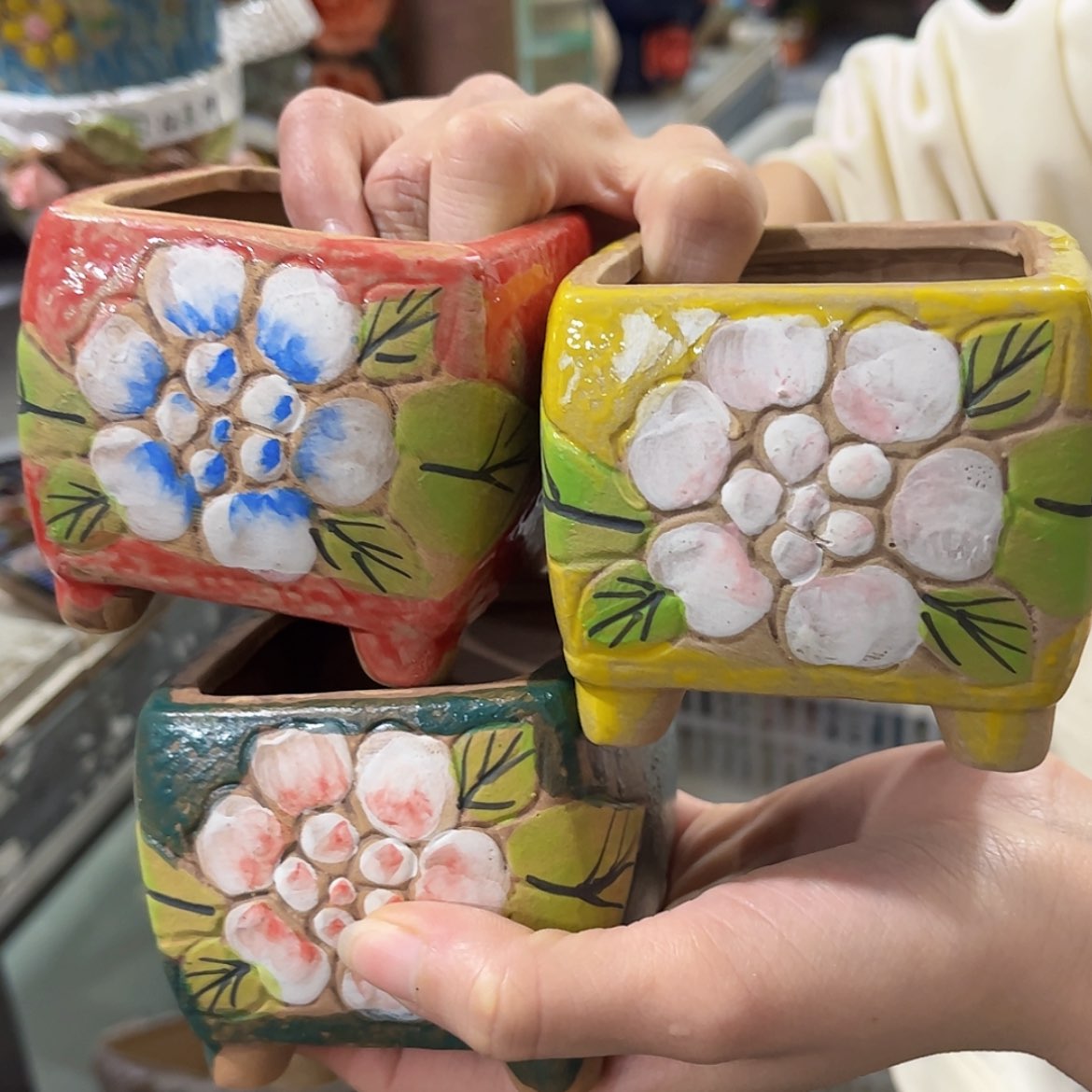 【闪购商品】红陶福利