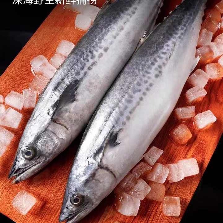 深海野生鲅鱼（蓝点马鲛鱼）3条共4.5斤以上 鲜鱼速冻锁鲜发顺丰