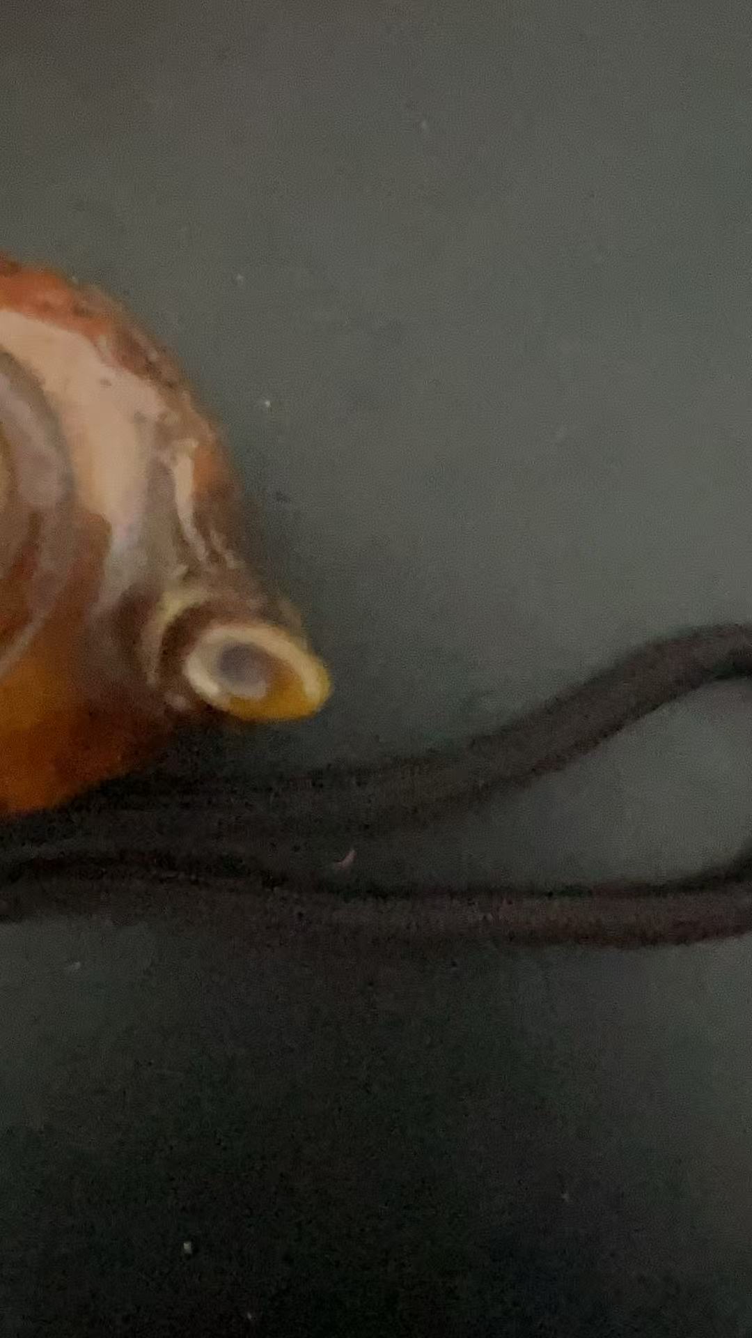 ML004精品把把壶（无礼盒）