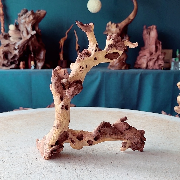 黑果木@*润675金丝红木羊蹄甲半成品