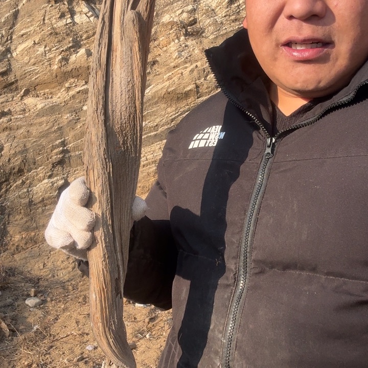 Z***m有机玻璃太行崖柏