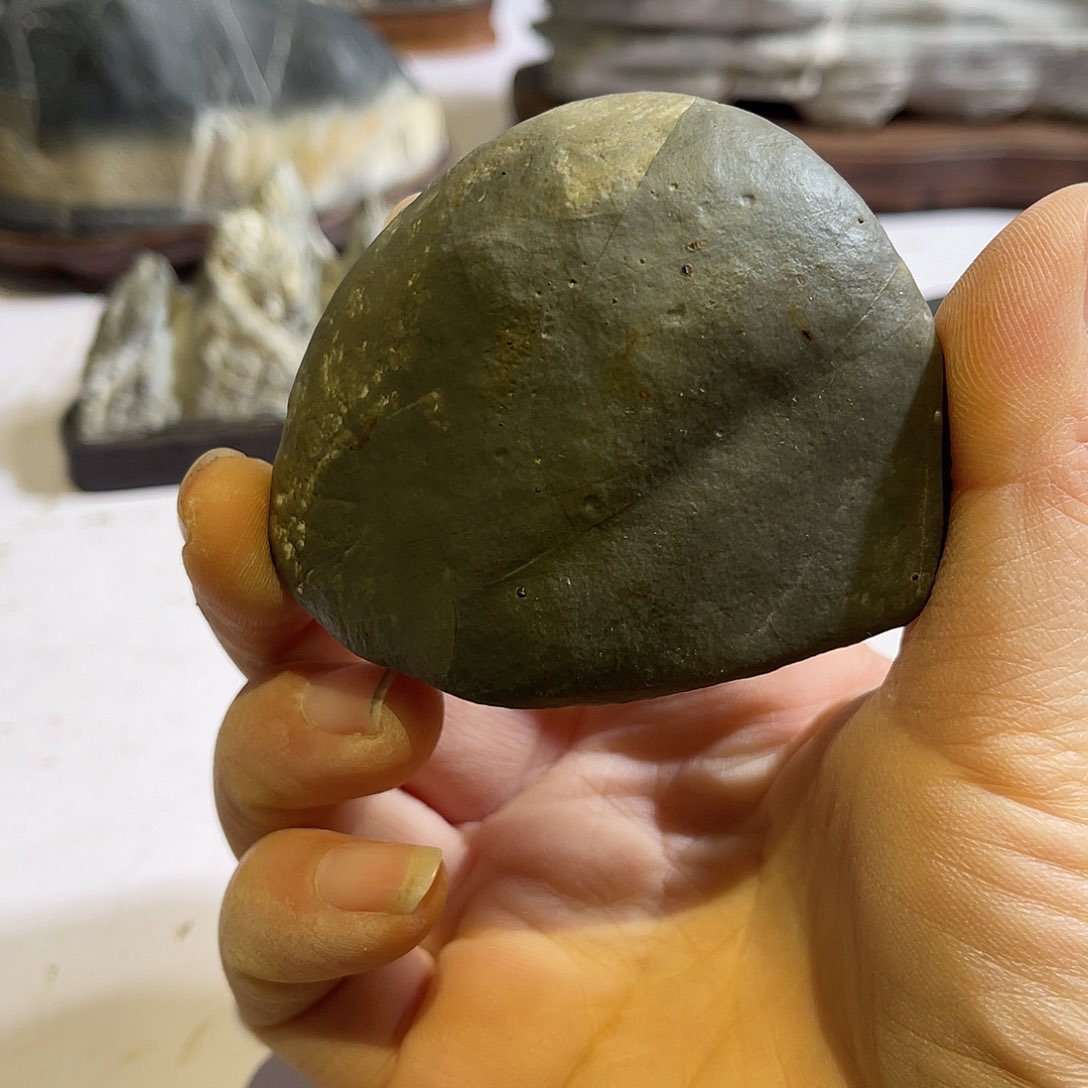 紫砂我们一起走巴走来吧