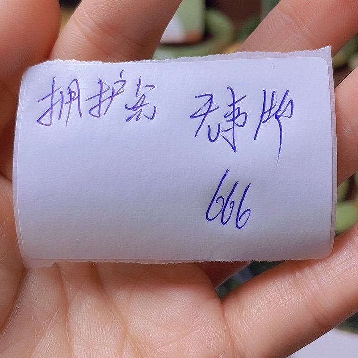 未镶嵌岫岩河磨玉（透闪石质玉）挂件拥***啊