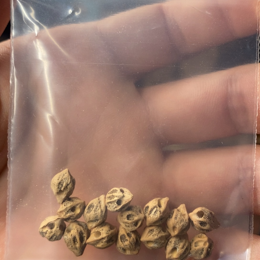 璞***坊吊坠柏香籽/百香籽