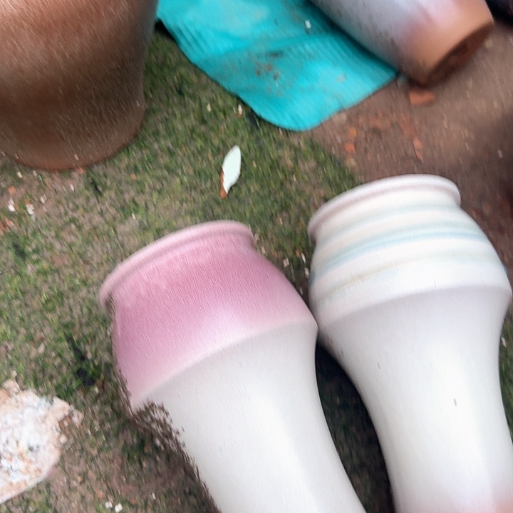 微瑕花盆啦啦啦啦