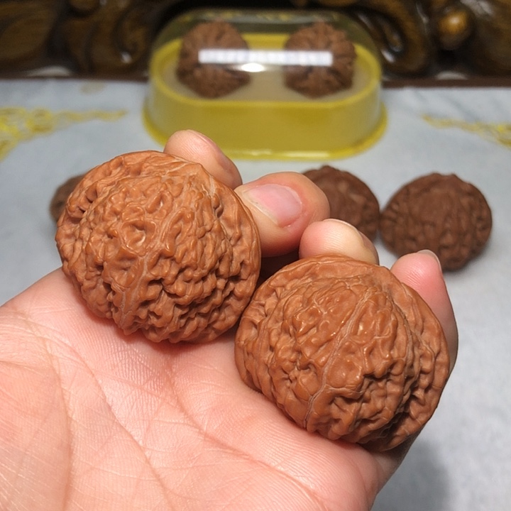 文玩核桃38平谷蛮王