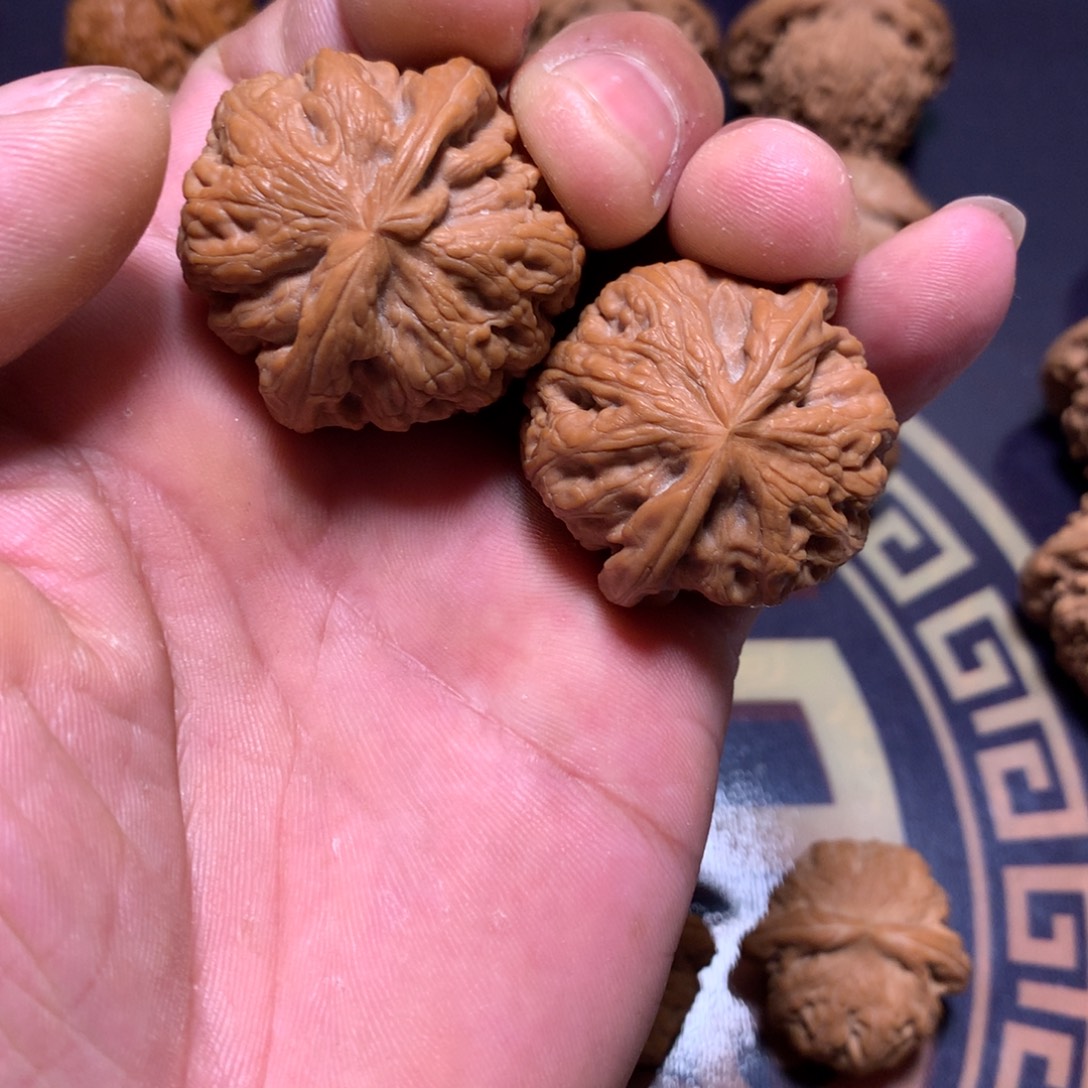 文玩核桃把件粗筋36