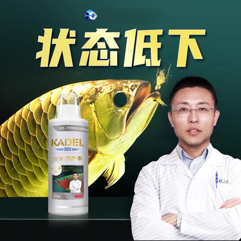 玛豆V7龙鱼等观赏鱼专用增色发色伤口恢复需要营养益生菌维c鱼缸