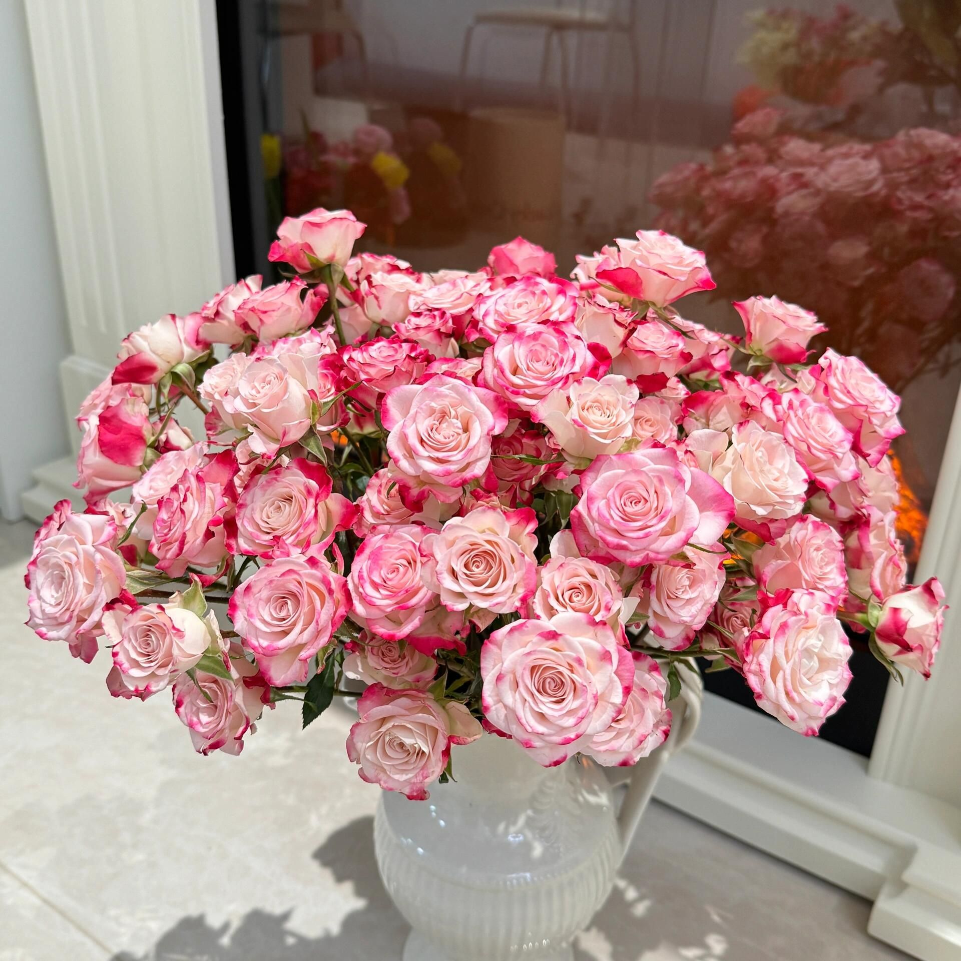 【折射多头玫瑰】  双色系 易养开 一单包邮 云南昆明斗南直发