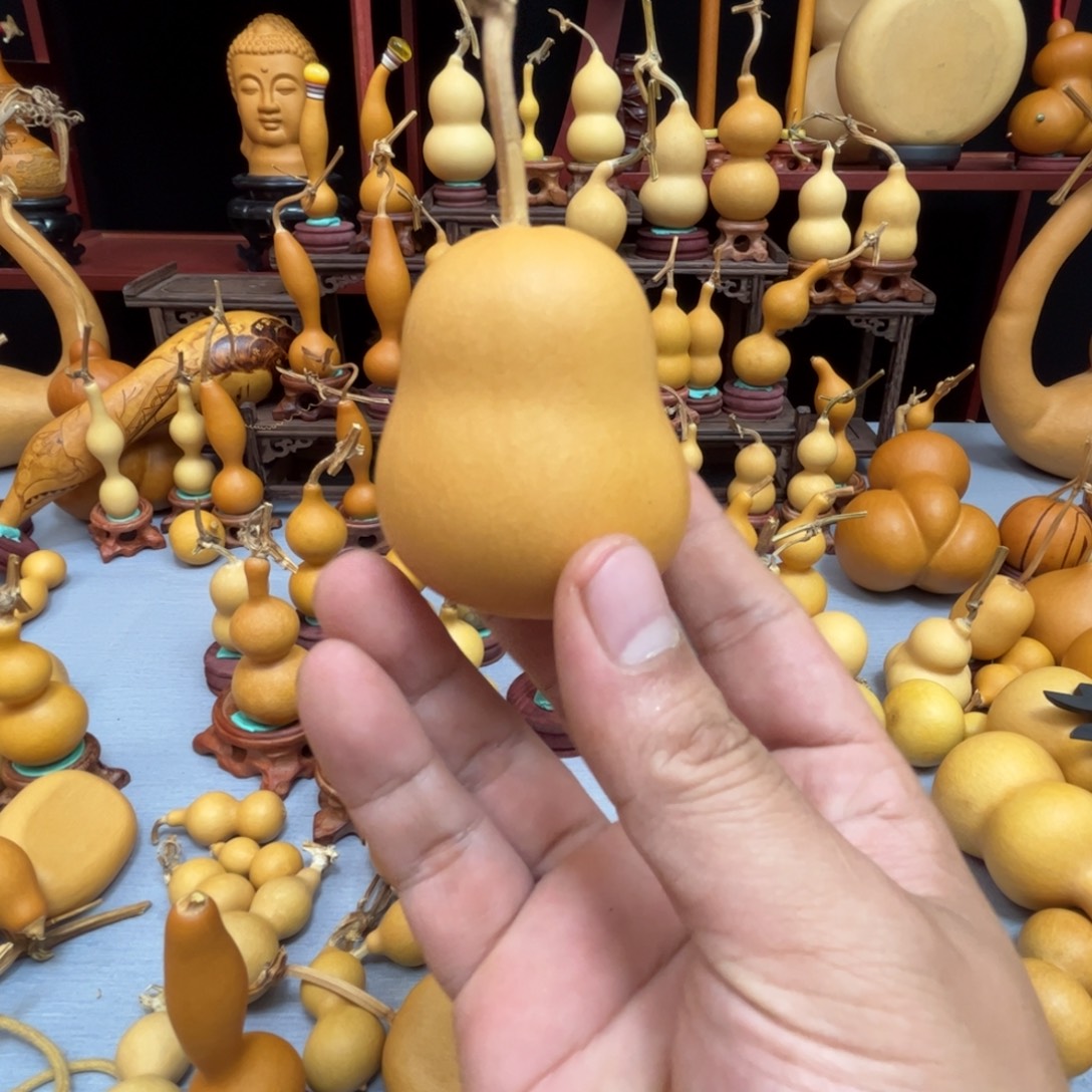 佳***阳藤木我的小可爱，一点也不像个女孩