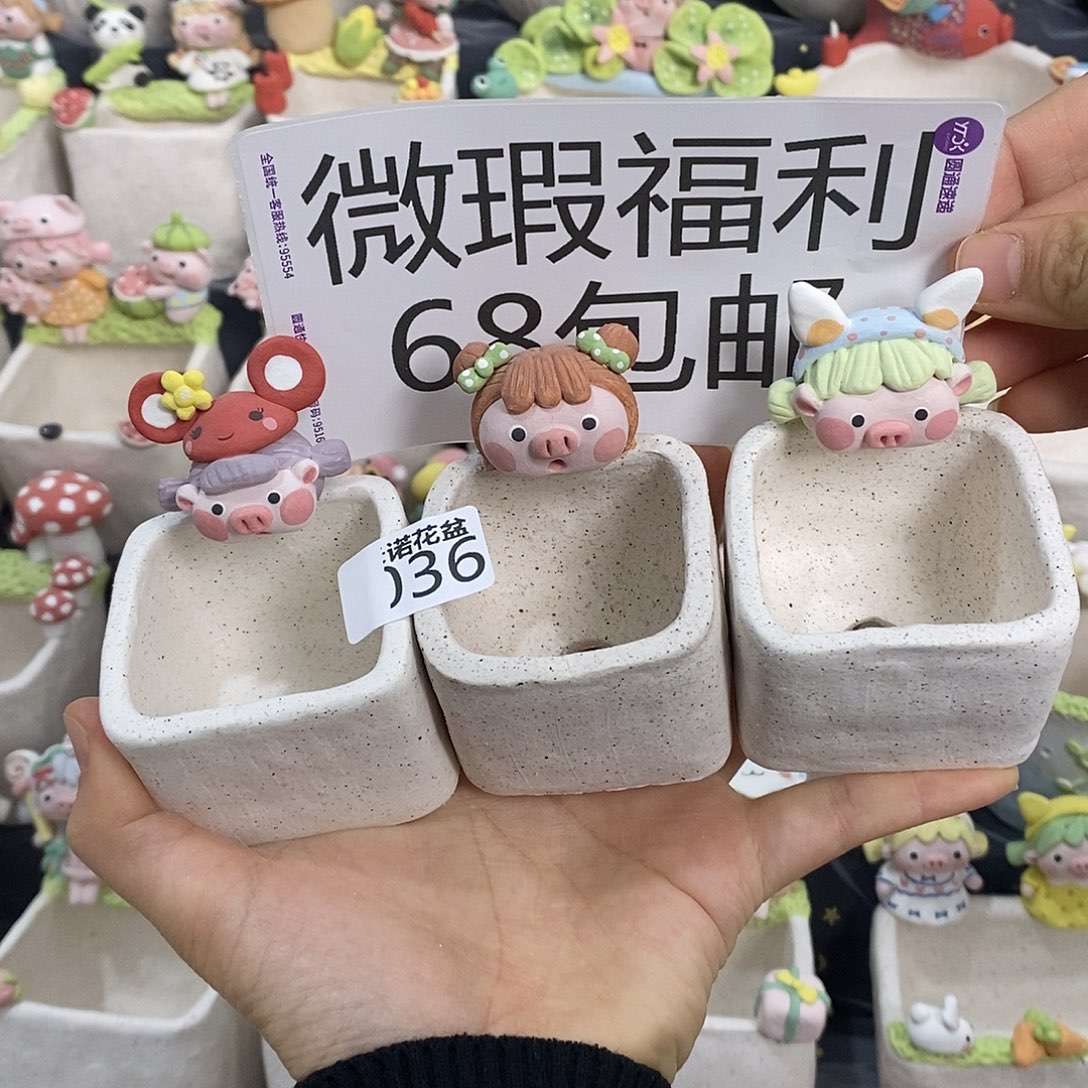 米诺多肉植物花盆036