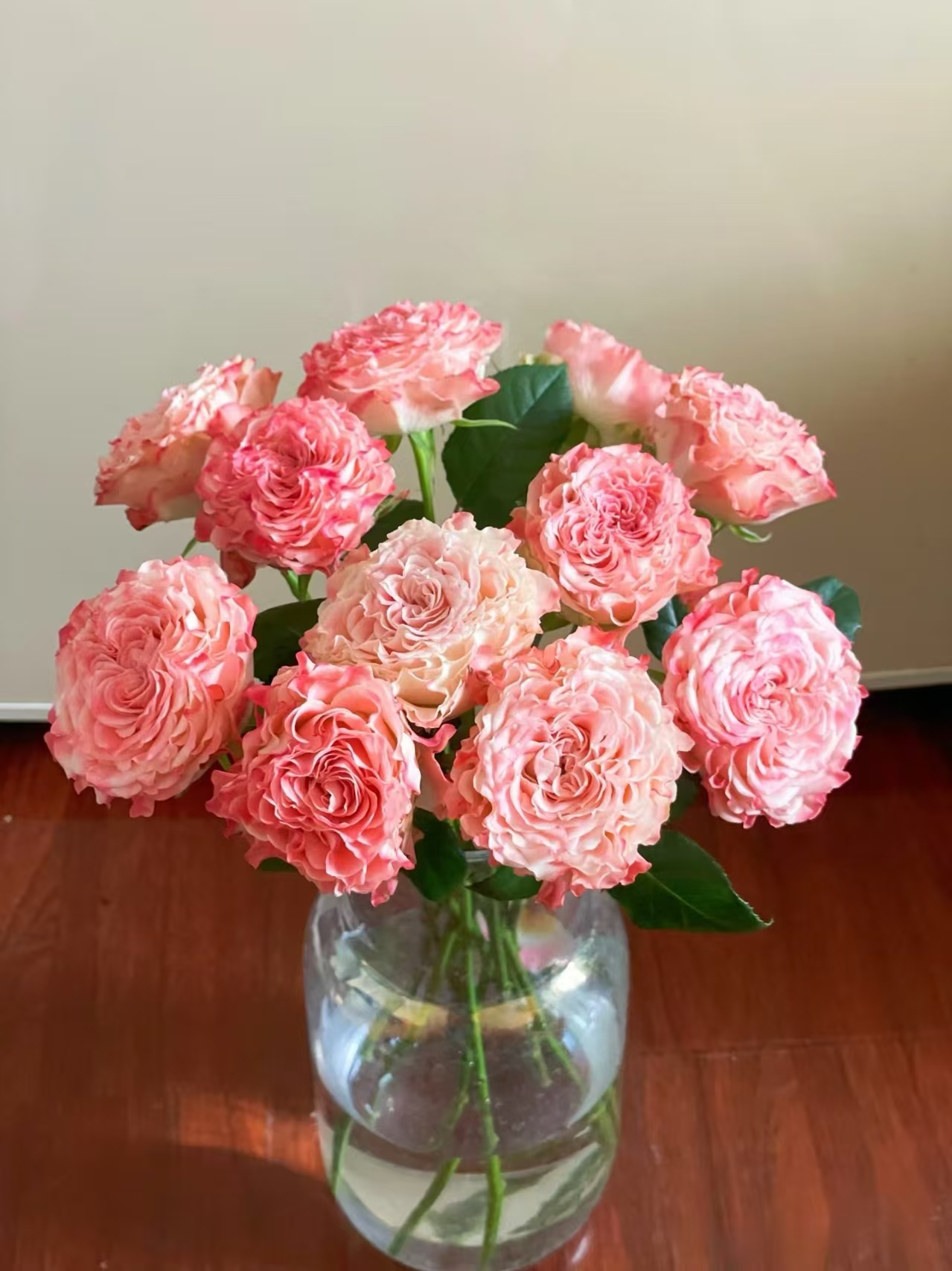 78小仙女10支+小桃红康10支+白色单瓣紫罗兰一把+粉色风铃一小把