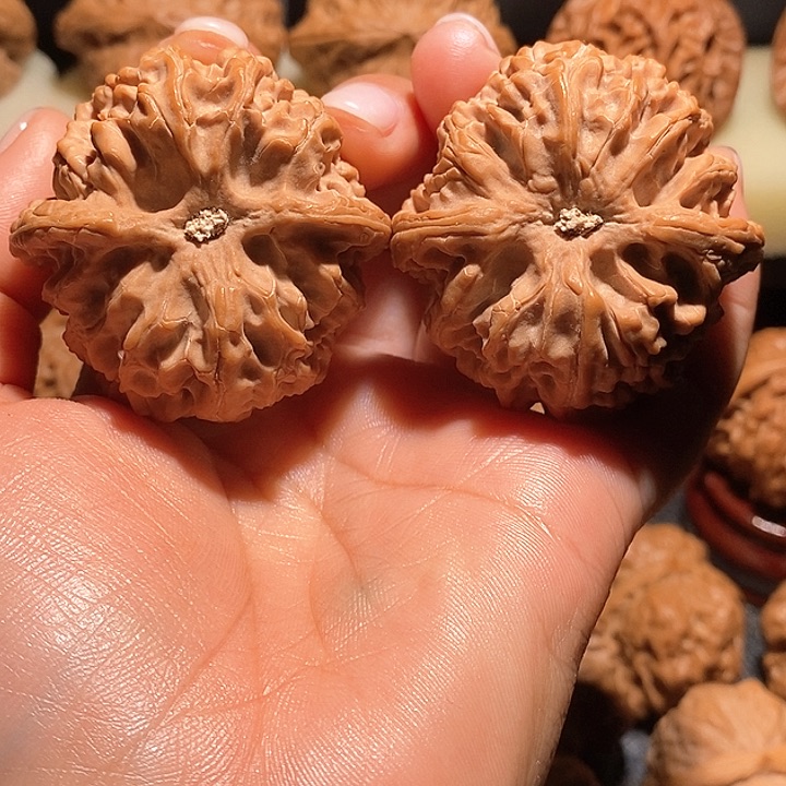 文玩核桃把件I****l44苹果园