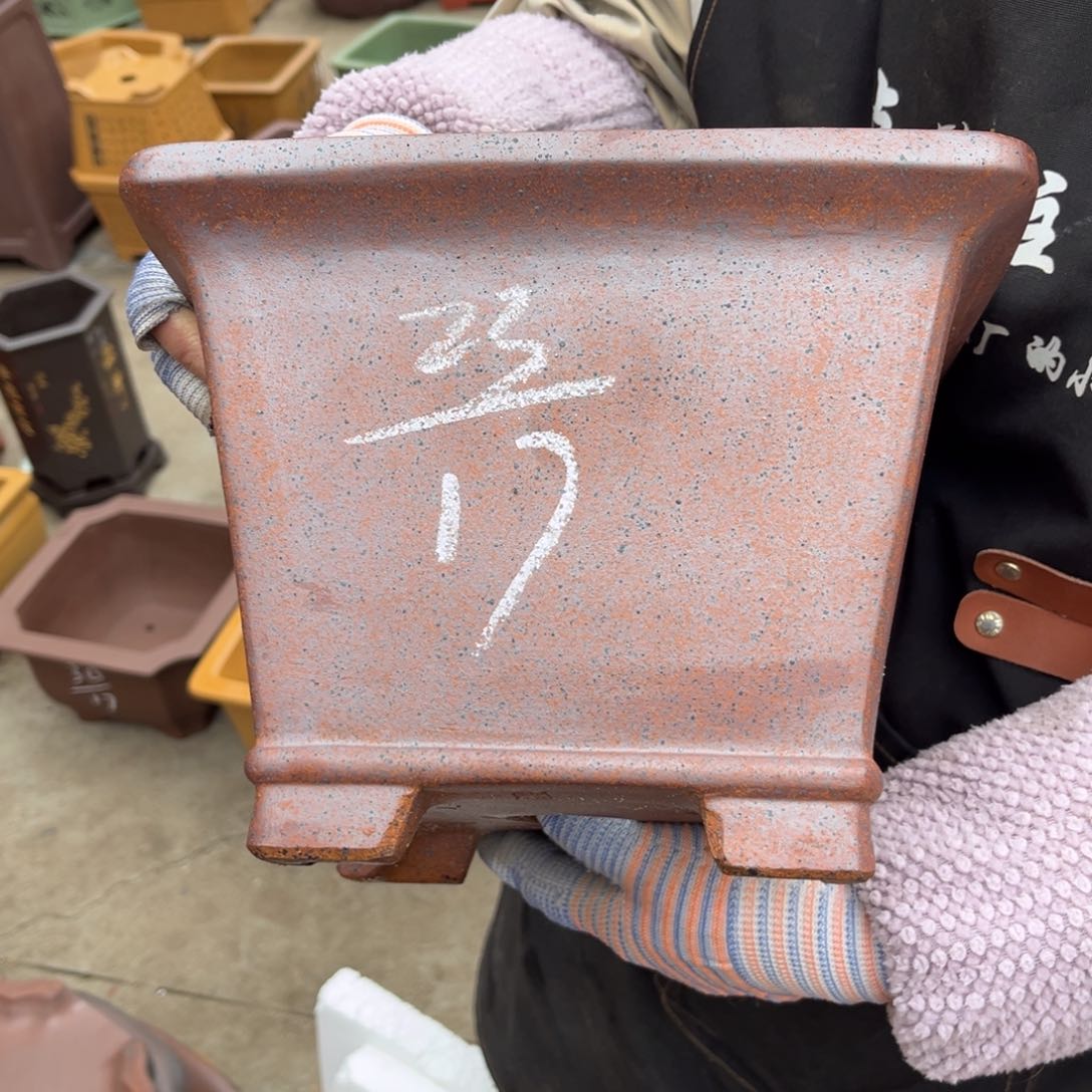 紫砂花盆盆景艺术