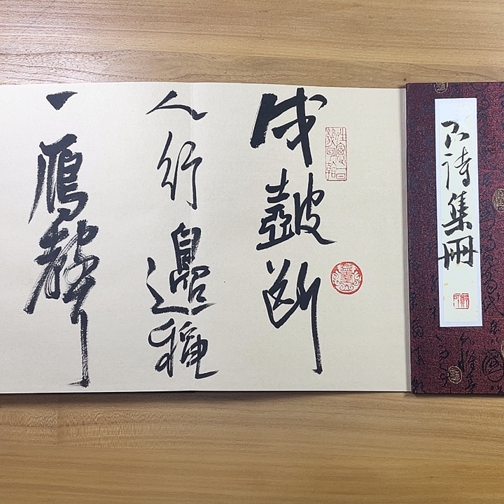 书法中书协会员作品